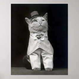 The Dapper Cat, 1906.  foto Poster