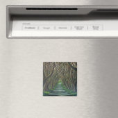 The Dark Hedges Magneet (Insitu (Vaatwasser))