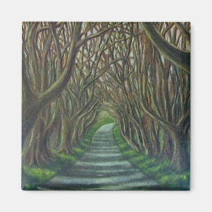The Dark Hedges Magneet