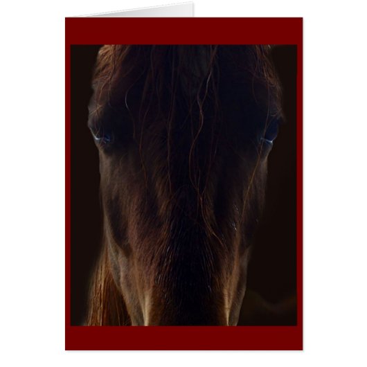 The dark horse card (Voorkant)