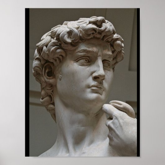 "The David" van Michelangelo Poster (Voorkant)