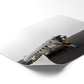 The DC9 plane wreck Poster (Hoek)