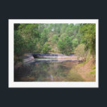 The dense jungle that surrounds MySon in Vietnam Briefkaart<br><div class="desc">This is a phot taken on the outskirts of MySon (pronounced MeeSon) in Vietnam. It is the sight of ancient temples and artwork and has been developed as a tourist site.</div>