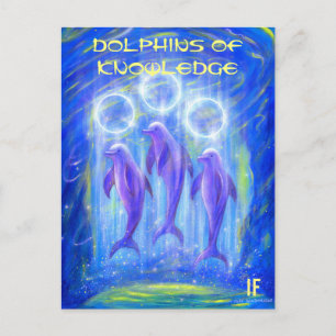 The Dolphins of Knowledge by Mike Winterbauer Briefkaart