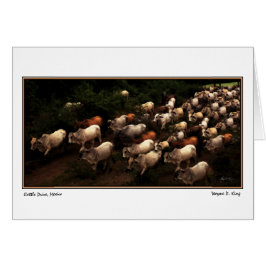 The Drive Home, Mexico