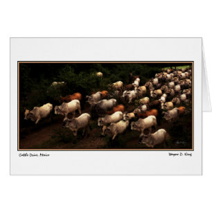 The Drive Home, Mexico