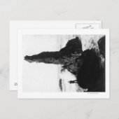 The Duchess Rock in Newport, Oregon Briefkaart (Voorkant / Achterkant)