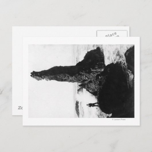 The Duchess Rock in Newport, Oregon Briefkaart (Voorkant / Achterkant)