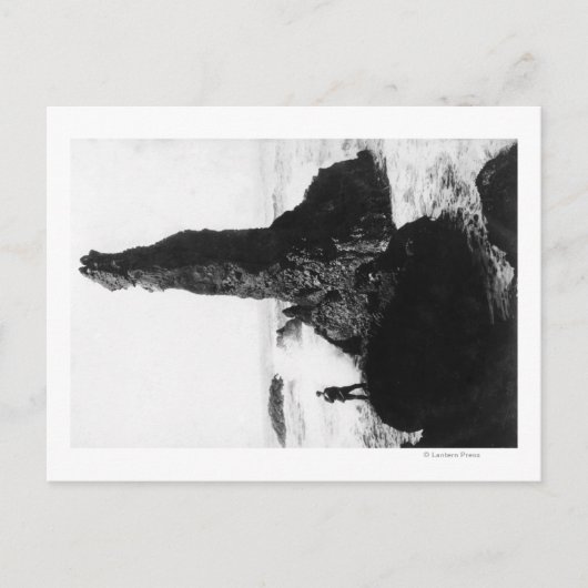 The Duchess Rock in Newport, Oregon Briefkaart (Voorkant)