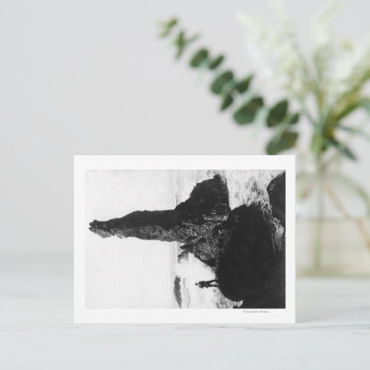 The Duchess Rock in Newport, Oregon Briefkaart (Staand voorkant)