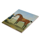 The Duke of Devonshire's Flying Childers, 1742 (oi Tegeltje (Zijkant)