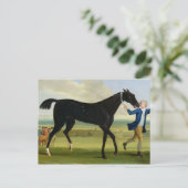 The Duke of Rutland's 'Bonny Black', c.1720 (olie  Briefkaart (Staand voorkant)