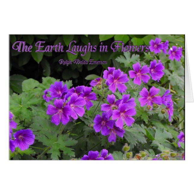 The Earth Laughs in Flowers (Voorkant Horizontaal)
