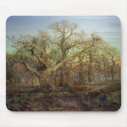 The Edge of Sherwood Forest, 1878 Muismat (Voorkant)