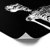 The Elephant Man Skeleton Poster (Hoek)