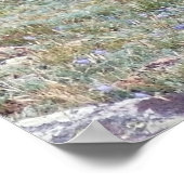 The Elks Club Poster (Hoek)