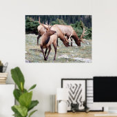 The Elks Club Poster (Thuiskantoor)