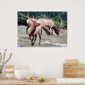 The Elks Club Poster (Keuken)