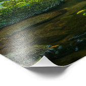 The Emerald Flow of the Irish Brook Foto Afdruk (Hoek)