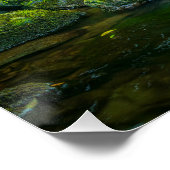 The Emerald Flow of the Irish Brook Perfect Poster (Hoek)