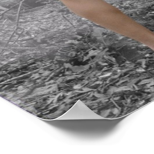 The Enchanted Forest Poster (Hoek)