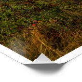 The Evening Glow of Greystones Coast Perfect Poster (Hoek)