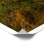 The Evening Glow of Greystones Coast Poster (Hoek)