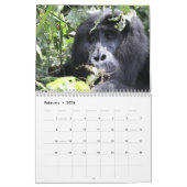 The Face of the Mountain Gorilla/ No US Feestdagen Kalender (Feb 2026)