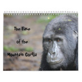 The Face of the Mountain Gorilla/ No US Feestdagen Kalender (Hoes)