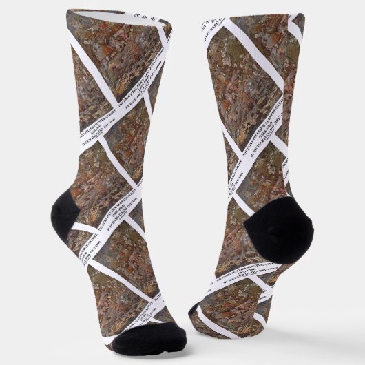 The Fairy Feller's Master-Stroke van Richard Dadd Sokken (Gebogen)