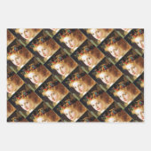 The Fairy Queen - Sophie Anderson Inpakpapier Vel (Voorkant)