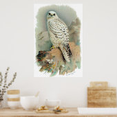 The Falcon Poster (Keuken)