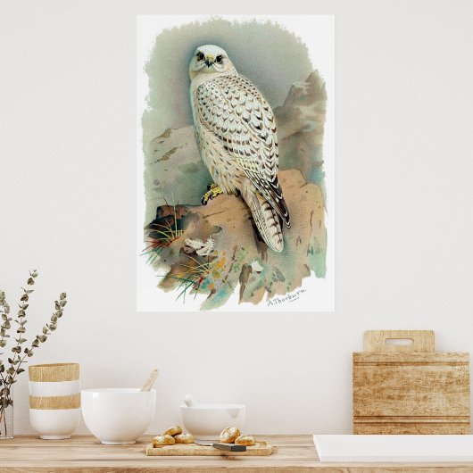 The Falcon Poster (Keuken)