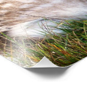 The Fallow Deer of the Glen Foto Afdruk (Hoek)