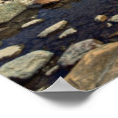 The Famous Fitz Roy Poster (Hoek)