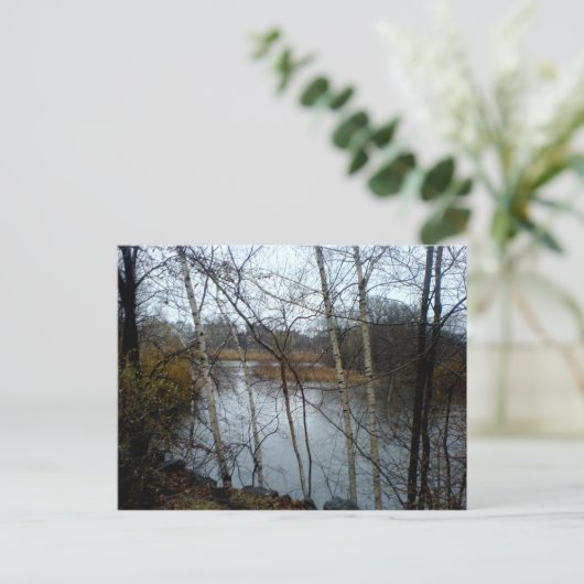 The Fens, Back Bay, Boston Briefkaart (Staand voorkant)