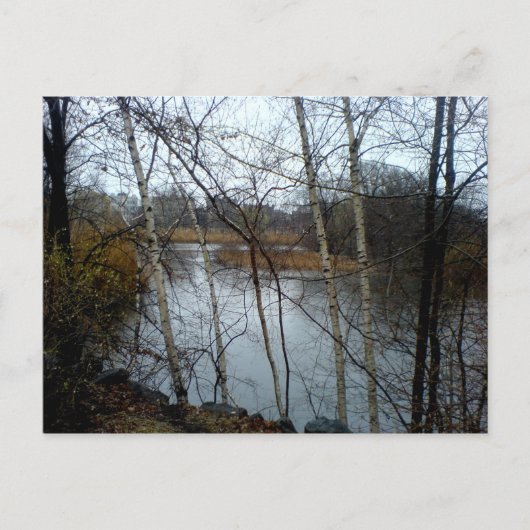 The Fens, Back Bay, Boston Briefkaart (Voorkant)