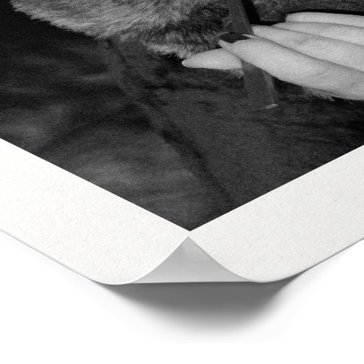 The Fifty Times Newspaper 50th Birthday Poster (Hoek)