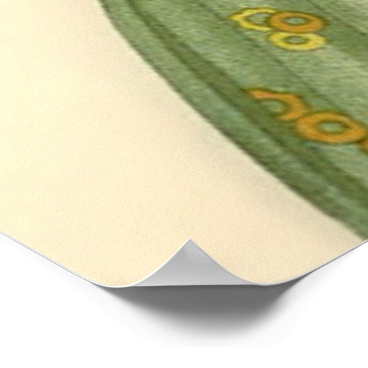 "The Fish Bowl" van Umberto Brunelleschi Poster (Hoek)