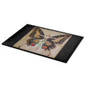The Flapper Girl's Metamorphosis to Butterfly 1922 Snijplank (Hoek)