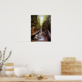 The Flumes, Franconia's Notch, New Hampshire Poster (Keuken)