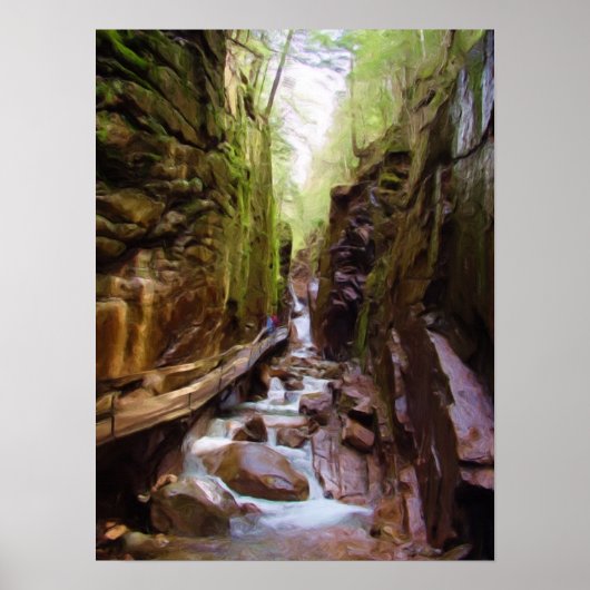 The Flumes, Franconia's Notch, New Hampshire Poster (Voorkant)