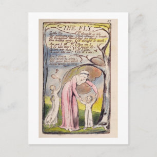 "The Fly", bord 37 uit "Sangen of Innocence and o Briefkaart