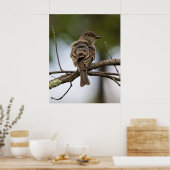 The Fly Catcher Poster (Keuken)