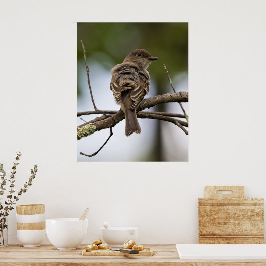 The Fly Catcher Poster (Keuken)