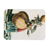 The Flying Coquette, c.1784 (kleurengravure) Magneet (Horizontaal)