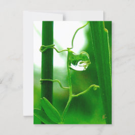 The Fool, Tarot in Nature Meditation Briefkaart