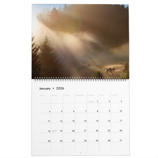 The Forest Boyz – Always & Forever Calendar Kalender (Jan 2026)