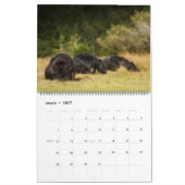 The Forest Boyz - hartverwarmende kalender (Mar 2027)