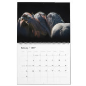 The Forest Boyz - hartverwarmende kalender (Feb 2027)